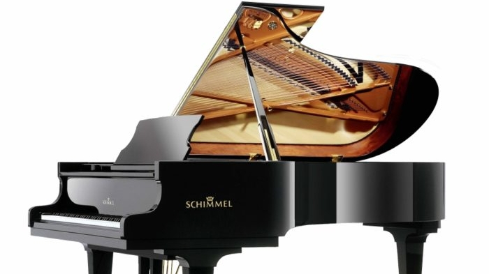 Cover photo of Grand Piano on Rent